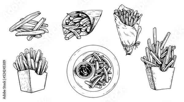 Fototapeta Hand drawn sketch french fries set. Fast food illustrations. Bunch, paper box and top view with sauce. Best for menu designs and packages. Vector collection.