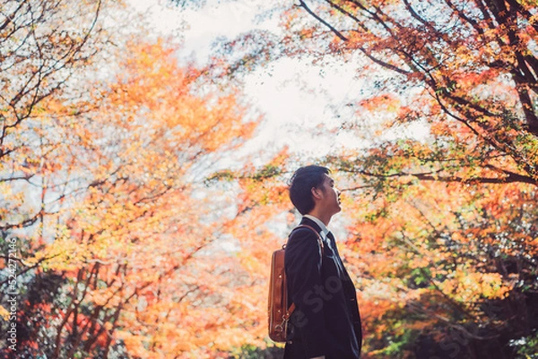 Fototapeta 紅葉とビジネスマン