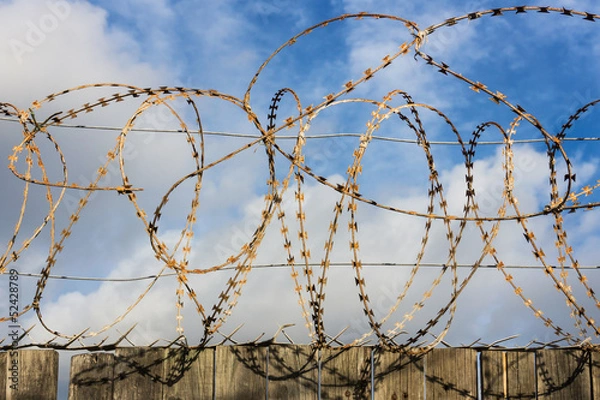 Obraz Zaun, Absperrung, Stacheldraht