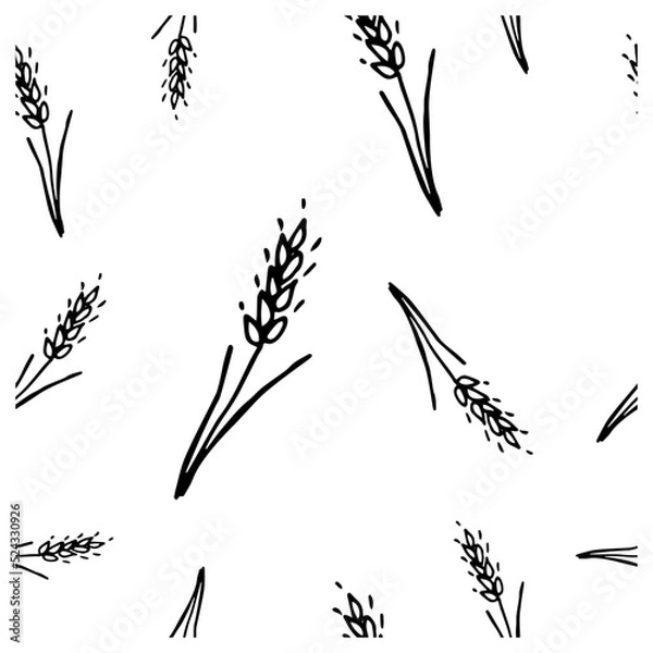 Fototapeta Pattern of wheat spikelets on a white background.
