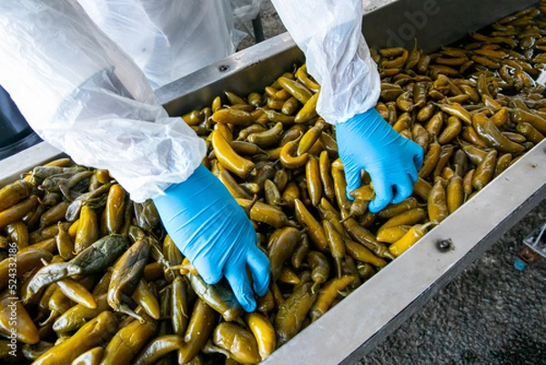 Obraz Jelapeno sorting