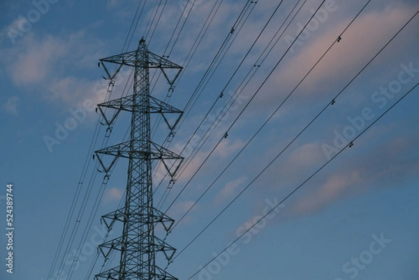 Obraz 黄昏時の鉄塔