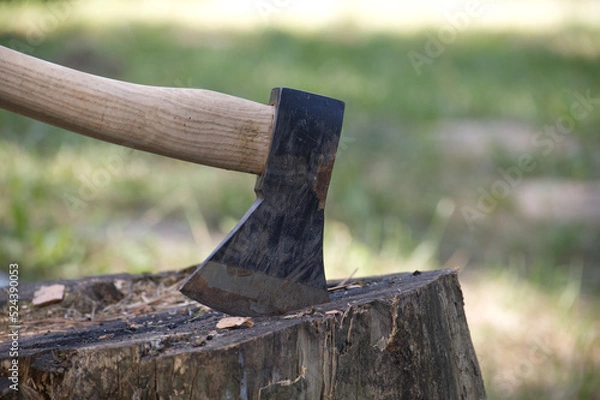 Fototapeta Chopper or axe standing upright in a tree stump