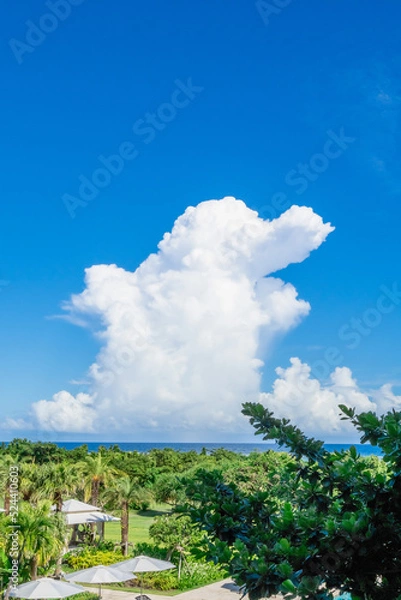 Fototapeta 沖縄の空