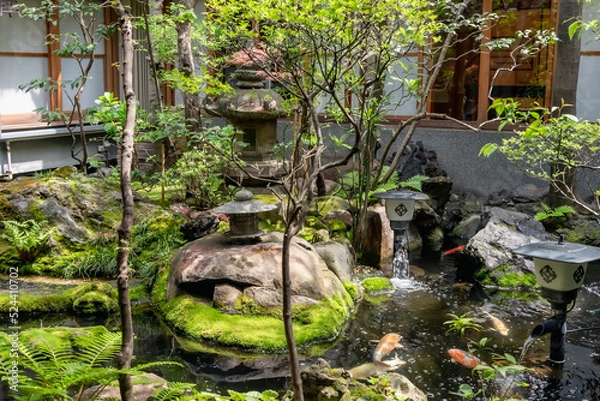 Fototapeta 日本庭園