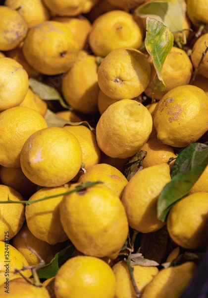 Fototapeta Zitronen