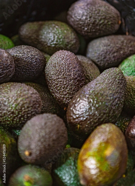 Obraz Avocado