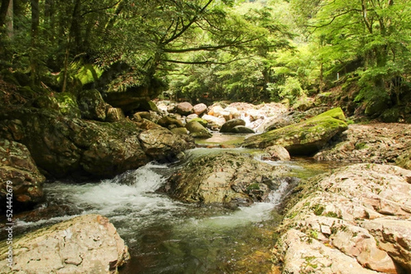 Fototapeta 愛媛県松野町　滑床渓谷の風景
