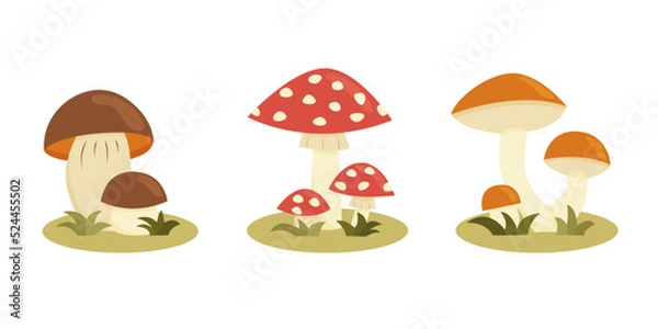 Fototapeta A set of mushrooms in a cartoon style. Vector illustration, isolated on white background.