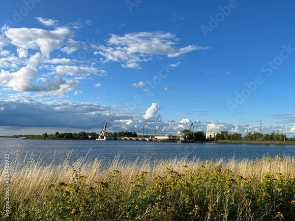 Obraz view of the Volga River. dry grass, summer