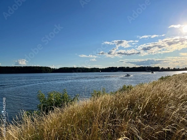 Obraz view of the Volga River. dry grass, summer