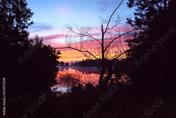 Fototapeta Scenic sunrise by the lake with morning fog. Pastel colors of sky, mist above the water and dark silhouette of trees. Magic, moody landscape of a dawn.