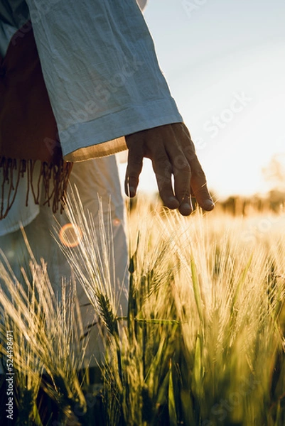 Obraz golden wheat field grass art hand