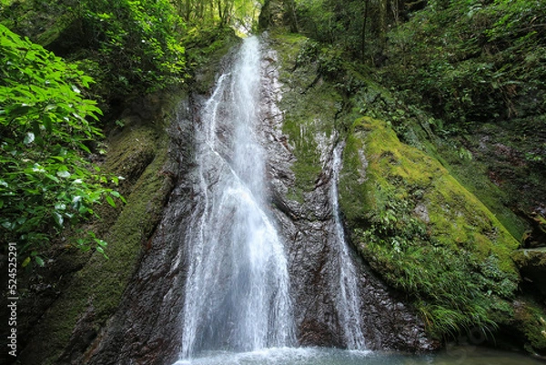 Fototapeta 愛媛県内子町　紅葉ヶ滝