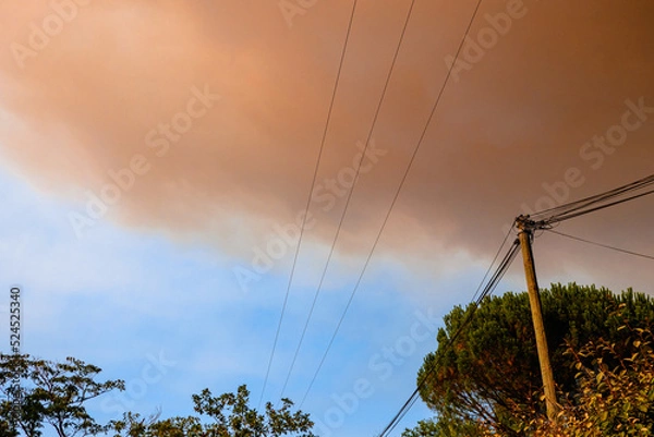 Obraz Smoke in the sky in Gironde, during forest fires/Fumées dans le ciel en Gironde, durant les incendies de forêts