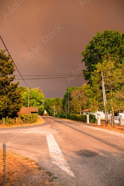 Obraz Smoke in the sky in Gironde, during forest fires/Fumées dans le ciel en Gironde, durant les incendies de forêts