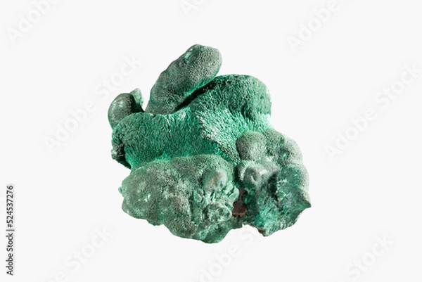 Fototapeta Green malachite copper carbonate crust layered spherolites with needle crystals. Museum Mineral Series. Mineralogical sample isolated on white