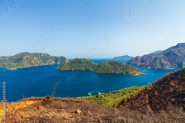 Fototapeta Marmaris, Turkey – The sawed pine tree and sea view from the hill. Trees burned in devastating forest fires in the resort town of Marmaris in Turkey. 