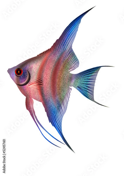 Fototapeta escalar 5