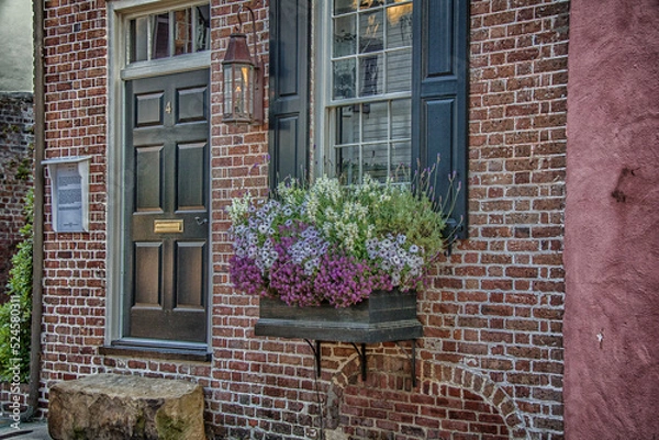 Obraz Windows and door with flower box