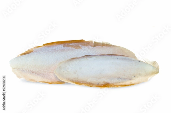 Fototapeta The internal shell or bone of dead cuttlefish