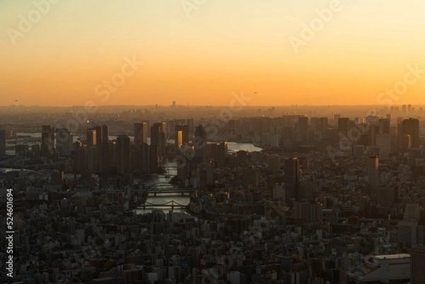 Obraz 東京スカイツリー 東京 ビル街