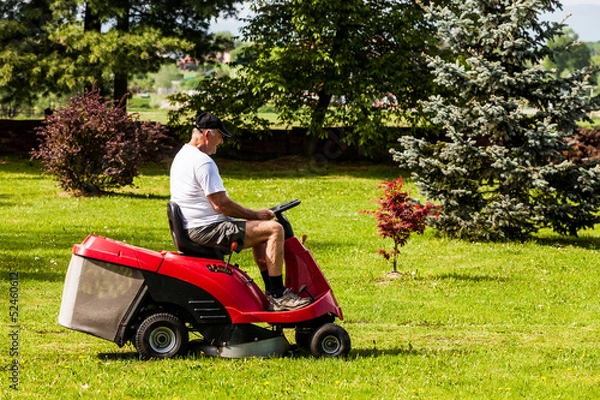 Obraz Senior man driving a red lawn mower (tractor)