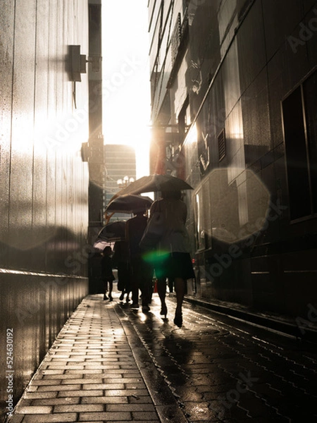 Obraz 日常的な風景