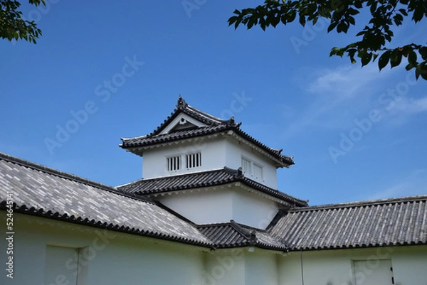 Fototapeta 彦根城