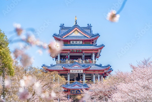 Fototapeta Aerial photography of Meihua Mountain in the Ming Xiaoling Mausoleum Scenic Spot in Nanjing, Jiangsu Province, China in spring