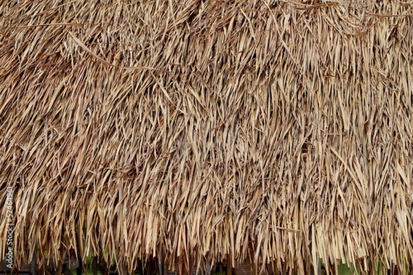 Obraz Thatched roof huts.