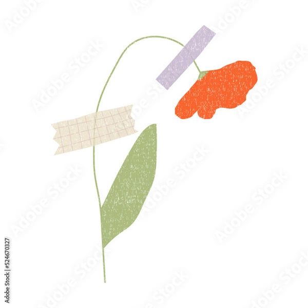 Fototapeta Hand drawn dried flower with washi tape . Vector element isolaten on white background