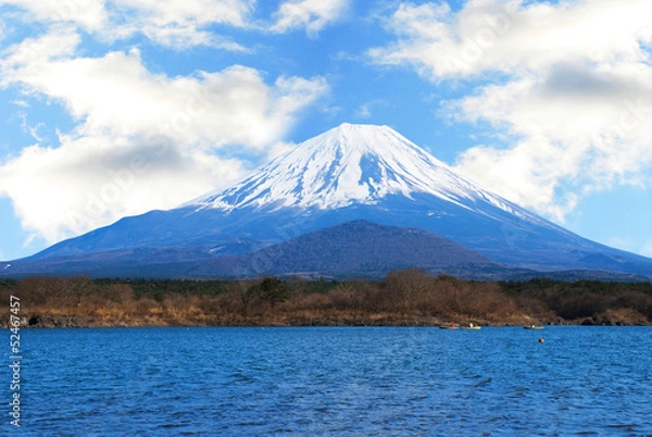 Obraz Mount Fuji