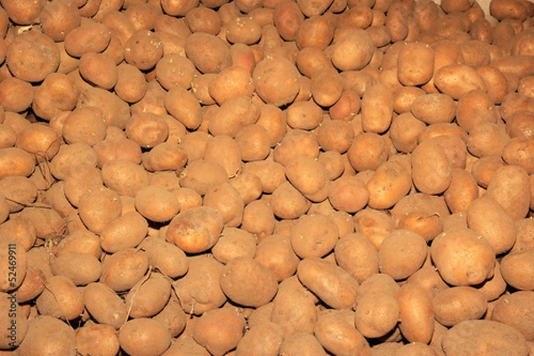 Fototapeta potatoes
