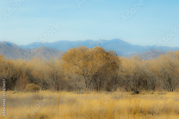 Obraz Grass and mountain