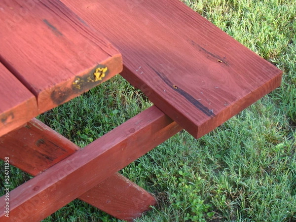 Fototapeta slime mold, mold on table