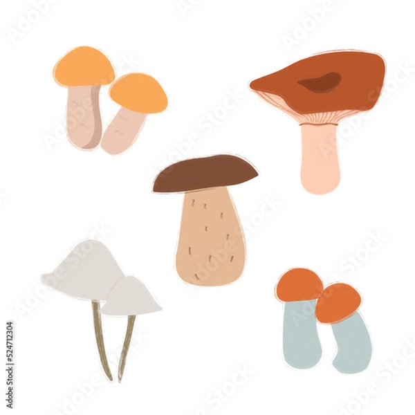 Fototapeta Vector image of a mushroom isolated on a white background. Porcini mushrooms, chanterelles, honey mushrooms, mushrooms, toadstools, morels.  Cartoon style.