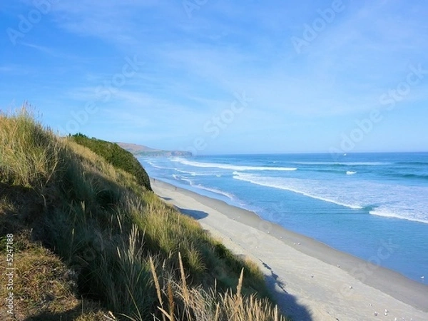 Obraz Strand bei Dunedin
