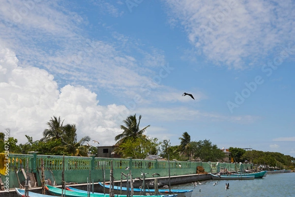 Fototapeta dock on a lagoon in the state of veracruz with some small boats docked