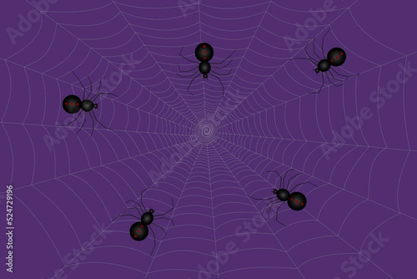 Obraz Spiders on web