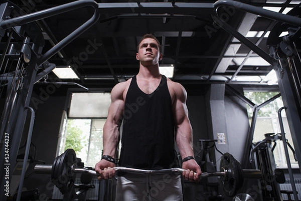 Fototapeta Low angle shot of a muscular male athlete working out with ez curl barbell, doing biceps exercise