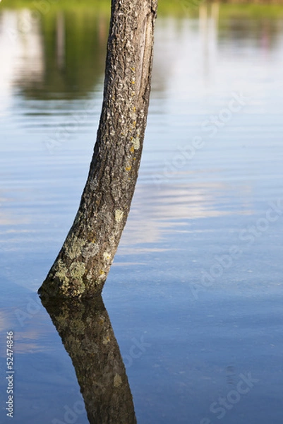 Obraz Mirror in the nature