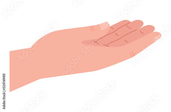 Fototapeta hand human receiving