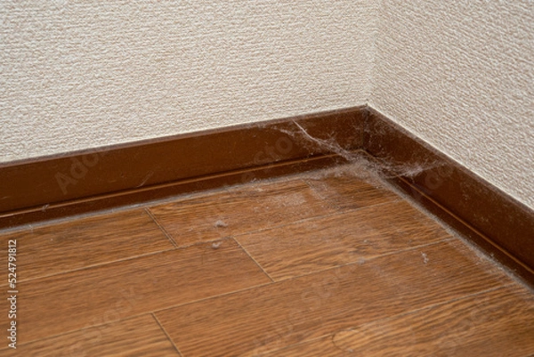 Fototapeta お掃除ロボットには難しい部屋の隅の埃