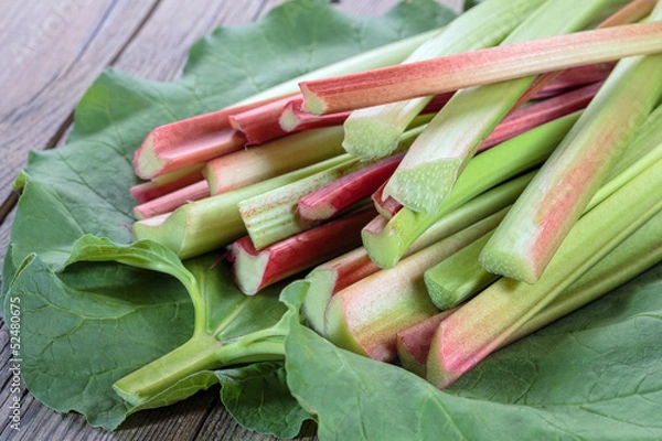 Obraz Fresh rhubarb