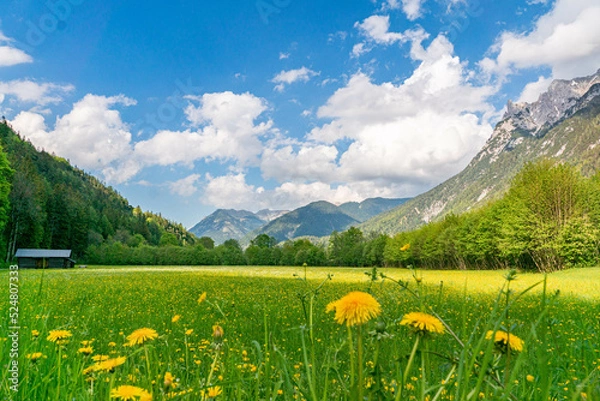 Obraz Wettersteingebirge 