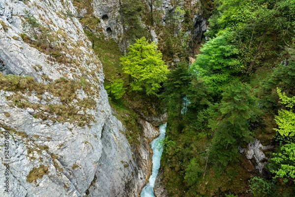 Obraz Leutaschklamm