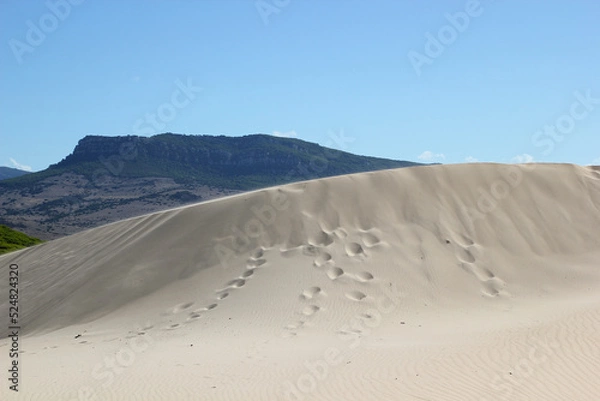 Obraz footprints on the dune