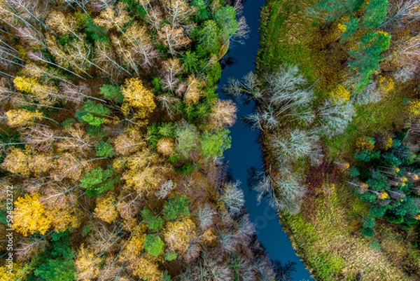 Fototapeta Calm small forest river Aerial top down view from drone, Latvia. Late autumn with little foliage on trees