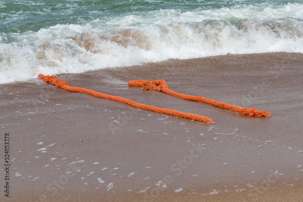 Obraz Alien Object on the Beach 31